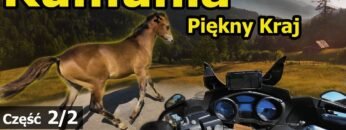 [ID: H1EIdpHWpmA] Youtube Automatic