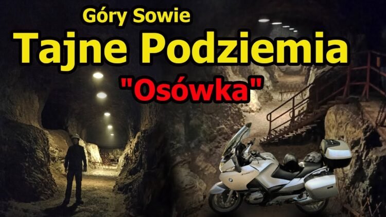 [ID: s0-2M-DW_dg] Youtube Automatic