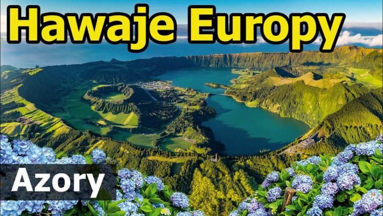 [ID: y2MsI2933u4] Youtube Automatic