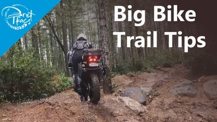 [ID: 1UDUWj6kL3U] Youtube Automatic