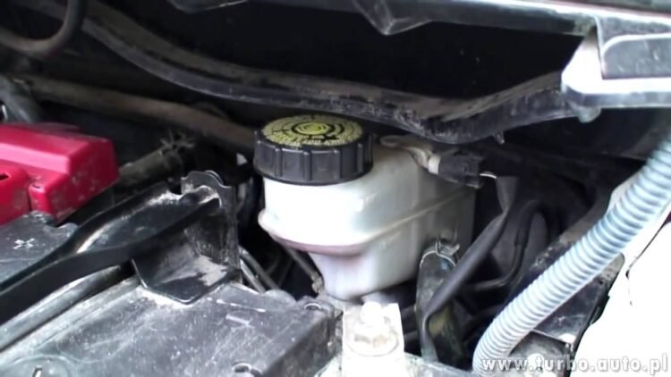 [ID: 6ozCdmOJ5kw] Youtube Automatic