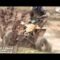 Quady Kymco, Polaris, Suzuki i Yamaha w morderczym teście