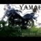 Yamaha Virago xv1100 projekt