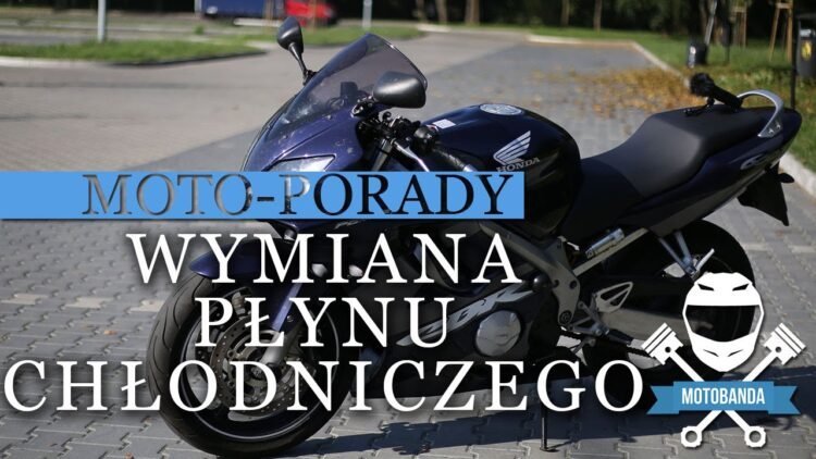 [ID: 97cqmczf6xE] Youtube Automatic