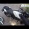 Slidery vs gleba – zapora Tresna – Honda CB | RMV#14