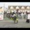MCN Live! Stunt show highlights