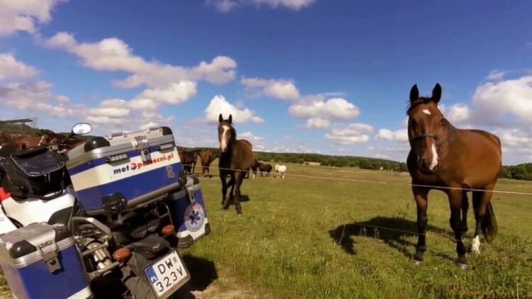 [ID: fe0vqlAWmGw] Youtube Automatic