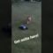 Cute Pup Chases Away RC Car