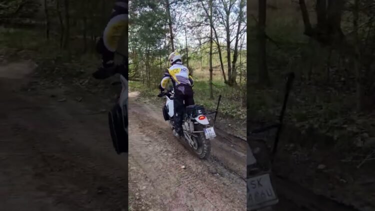 [ID: kzCs5F-FPwY] Youtube Automatic