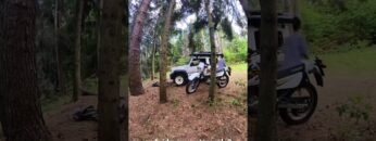 [ID: LAwgAjCrhAM] Youtube Automatic