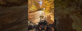 [ID: ljsLrNsdXa8] Youtube Automatic