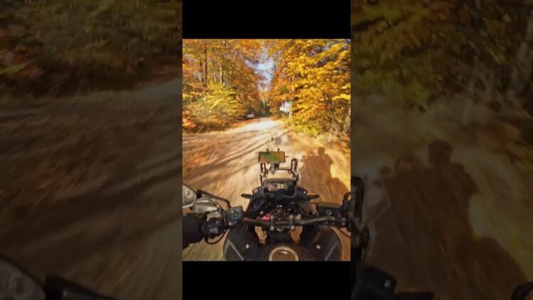 [ID: ljsLrNsdXa8] Youtube Automatic