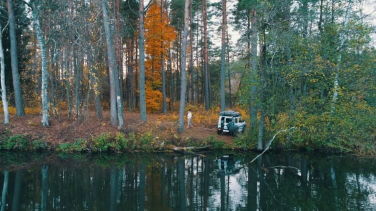 [ID: w5QL6Jbdso0] Youtube Automatic